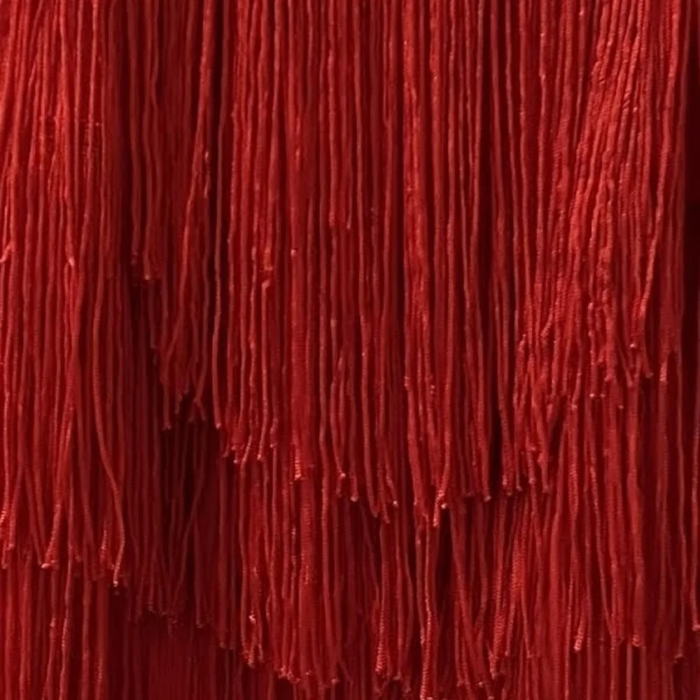 NEW NWT Vibrant Red Fringe Flapper Dress Large - Picture 4 of 4